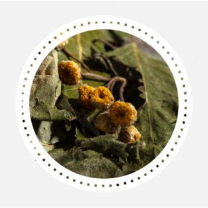 LIMPIEZA ORGANISMO MEZCLA HERBAL DE LIMPIEZA 50G