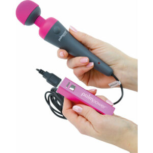 PALMPOWER PLUG & PLAY